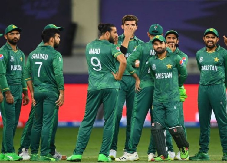 'बिरयानी' के लिए पत्रकार से भिड़ा पाकिस्तानी खिलाड़ी, कहा- 'जब हम हारते हैं तो...'