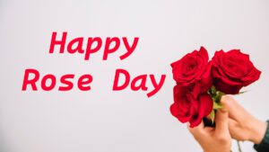 Happy Rose Day 2025 VK News