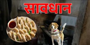 Mohali Momos Factory VK News