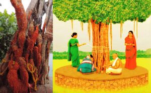 Vat Savitri Puja VK News